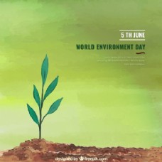 植物世界世界环境日背景与孤独的植物