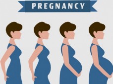 孕妇怀孕周期背景图