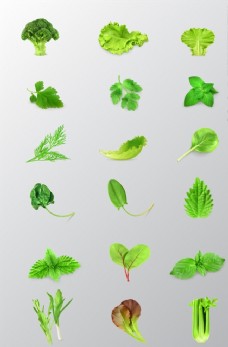 绿色蔬菜青菜图形标识矢量素材蔬菜