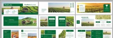 绿色蔬菜农业画册