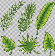 手绘绿色叶子图案免抠png透明图层素材