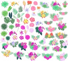 小清新粉色夏威夷风格热带植物树叶花朵矢量素材