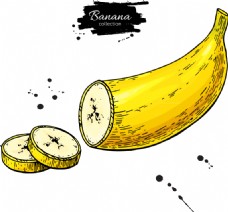切片的黄色香蕉矢量