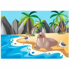 在一个岛上的海狮