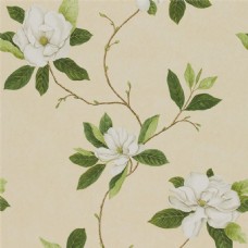 欧式花纹背景白色花枝图案壁纸