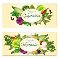 健康蔬菜水果海报卡片背景矢量