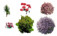 春季花草树木室内设计景观素材图片