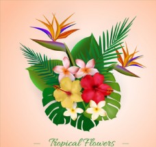 彩色热带植物花束矢量素材