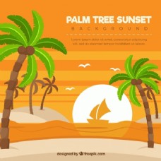 日落时棕榈树的海滩背景