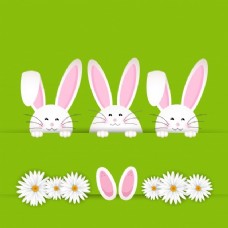复活节兔子背景的雏菊