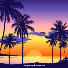 夏日棕榈树海滩日落背景