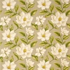 欧式花纹背景白色花朵无缝壁纸图