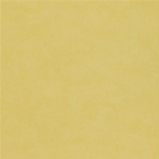欧式花纹背景黄色平面壁纸