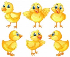 SPA插图六个可爱的小鸡白色背景插图