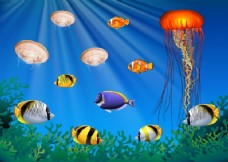 海中游动的海洋动物插图