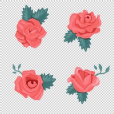 粉红玫瑰插图免抠png透明图层素材
