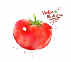 西红柿喷溅水彩墨迹水果玉米蔬菜矢量