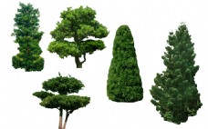 精品psd园林景观设计素材树木