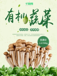 限时特惠清新有机蔬菜绿色食品超市果蔬促销海报