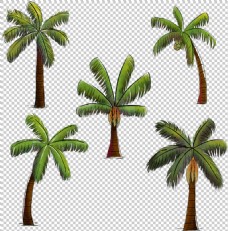 三亚绿色椰子树免抠png透明图层素材