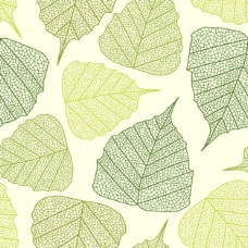 绿色叶子叶子的图案设计