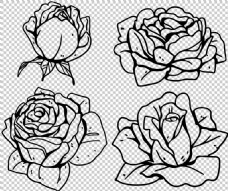 SPA插图黑色线描玫瑰花插画免抠png透明图层素材