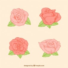 四朵玫瑰素描