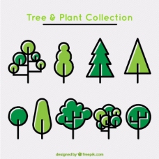 木线线性模式的树木和植物