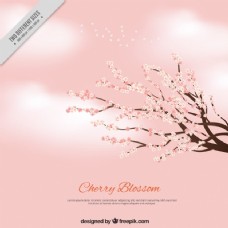 春季背景粉红色的背景云朵和树枝上盛开着樱花