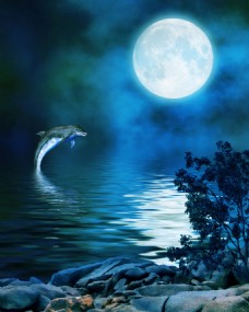月亮下海中的海豚玄关装饰背景墙