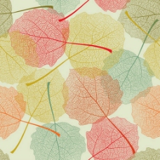 彩色漂亮叶子矢量图