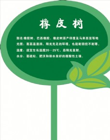 绿色叶子植物牌