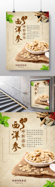 中国药材西洋参中国传统药材海报