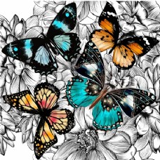 多彩的背景蝴蝶背景设计