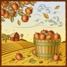 木桶秋季收苹果背景图