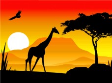 日出长颈鹿绿树图片