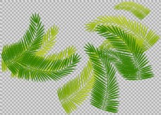 手绘棕榈叶子插画免抠png透明图层素材