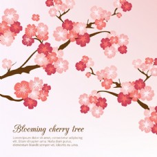 广告春天盛开的樱花背景