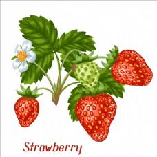 卡通菠萝草莓